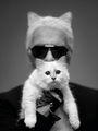 Karl Lagerfeld Choupette.jpg